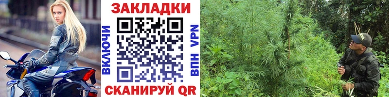 Сколько стоит Лосино-Петровский МАРИХУАНА Alpha-PVP Меф мяу мяу Амфетамин Кокаин