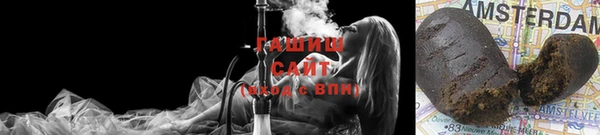 прущие грибы Балахна
