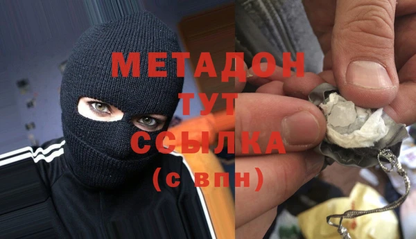 прущие грибы Балахна