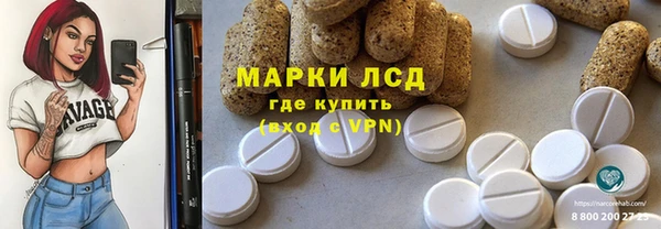 прущие грибы Балахна